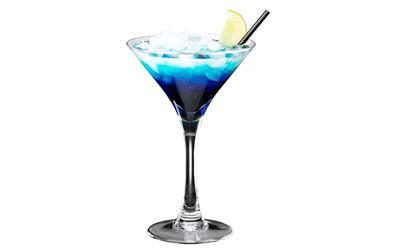 Polycarbonate Drinkware - Martini Glass 200ml